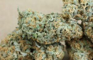 Buy Blue Dream Weed Strain For Sale Online