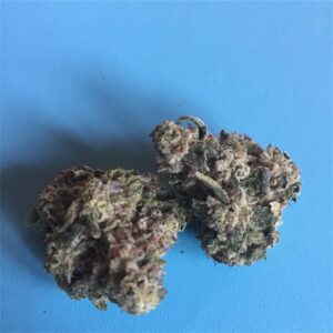 mambaz exotic weed strain for sale