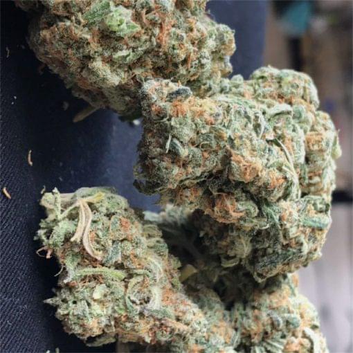 Buy top quality bubba og strain online USA